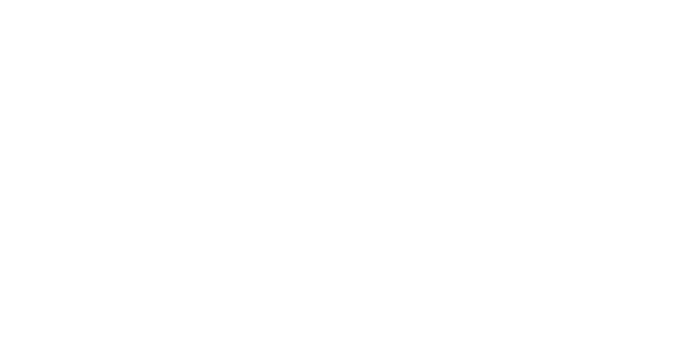 Big Bull company light logo